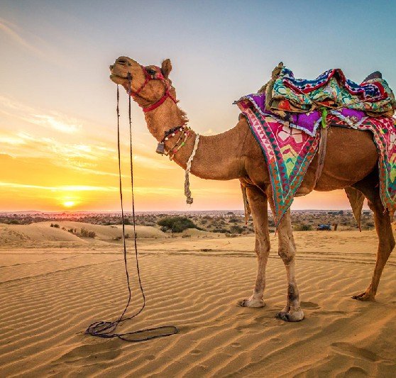 Rajasthan